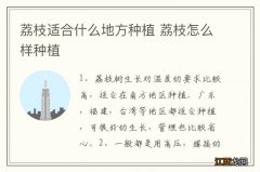 荔枝适合什么地方种植 荔枝怎么样种植