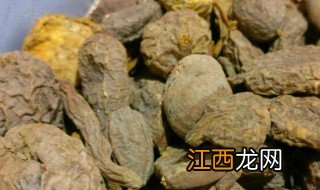 鹅苦胆的功效与作用 鹅苦胆有什么功效与作用