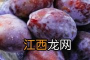 雪莲果怎么吃去寒气 雪莲果什么人不能吃