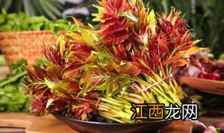 香椿适合种植什么地方 什么季节种植香椿最好