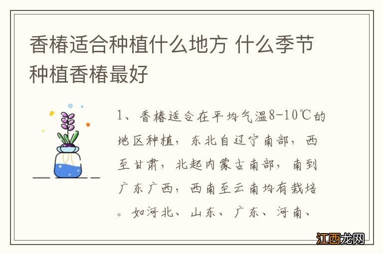 香椿适合种植什么地方 什么季节种植香椿最好