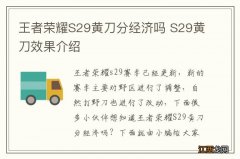 王者荣耀S29黄刀分经济吗 S29黄刀效果介绍