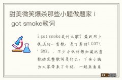 甜美微笑爆杀那些小题做题家 i got smoke歌词