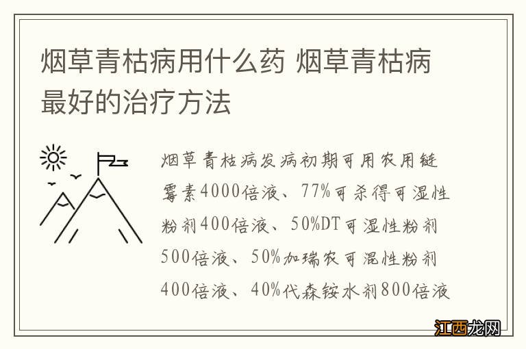 烟草青枯病用什么药 烟草青枯病最好的治疗方法