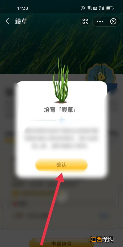 神奇海洋怎么培育鳗草 神奇海洋培育鳗草方法介绍