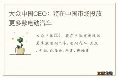 大众中国CEO：将在中国市场投放更多款电动汽车