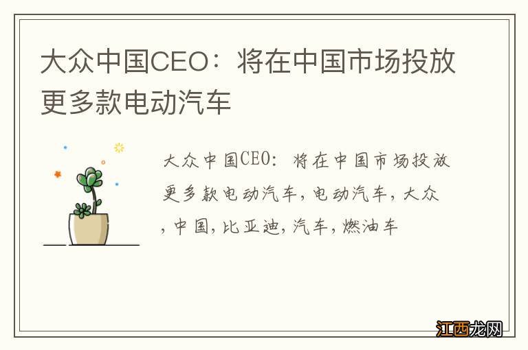 大众中国CEO：将在中国市场投放更多款电动汽车