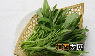 冬天种菜应该怎么种植，冬天种菜应该怎么种植好