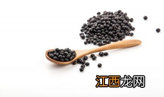 黑豆冬天怎么种植，黑豆冬天怎么种植视频