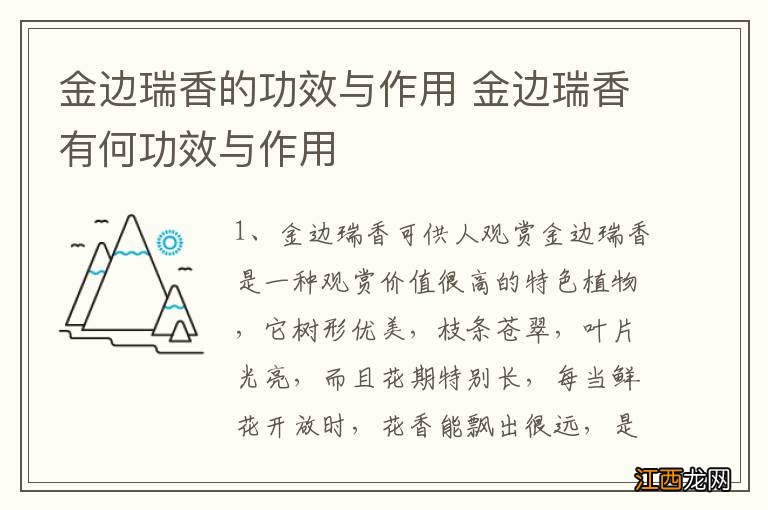 金边瑞香的功效与作用 金边瑞香有何功效与作用