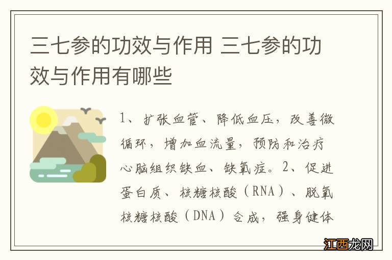 三七参的功效与作用 三七参的功效与作用有哪些