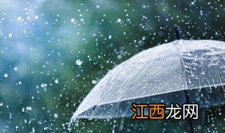 雨的歌词 雨歌曲简介