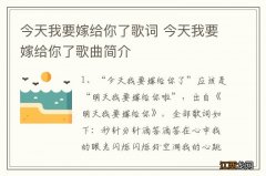 今天我要嫁给你了歌词 今天我要嫁给你了歌曲简介