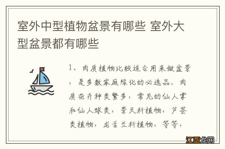 室外中型植物盆景有哪些 室外大型盆景都有哪些