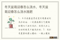 冬天盆栽迎春怎么浇水，冬天盆栽迎春怎么浇水施肥