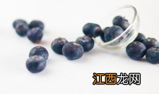 蓝莓盆栽冬天怎么保温 蓝莓盆栽怎么过冬天