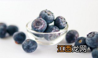 蓝莓盆栽冬天怎么管理好 蓝莓盆栽冬天怎么管理