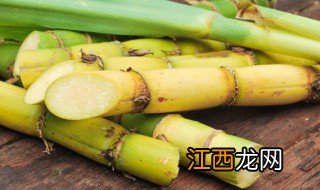 冬天种植甘蔗怎么保暖 甘蔗怎么保存过冬