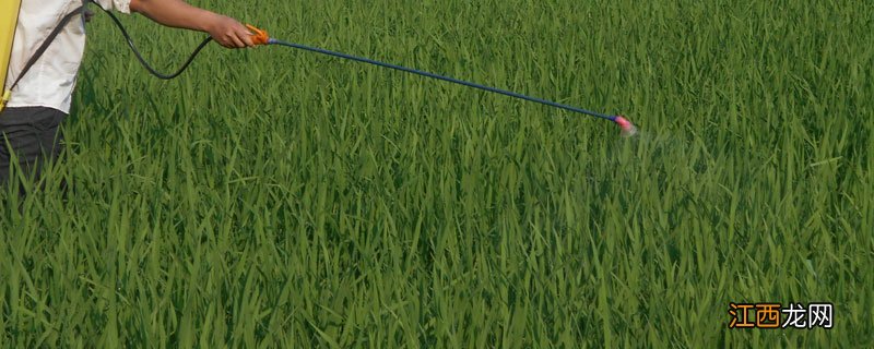 嘧菌酯与醚菌脂 嘧菌酯和醚菌酯有什么区别