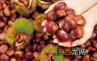 板栗种植地理条件，附种植方法