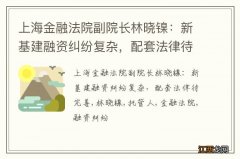 上海金融法院副院长林晓镍：新基建融资纠纷复杂，配套法律待完善