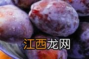 冬枣一次性适合吃几颗 冬枣怎么保存