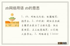 zb网络用语 zb的意思