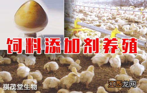 饲料添加剂原料有哪些，饲料添加剂的生产与使用的注意事项