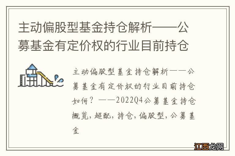 主动偏股型基金持仓解析——公募基金有定价权的行业目前持仓如何？——2022Q4公募基金持仓概览