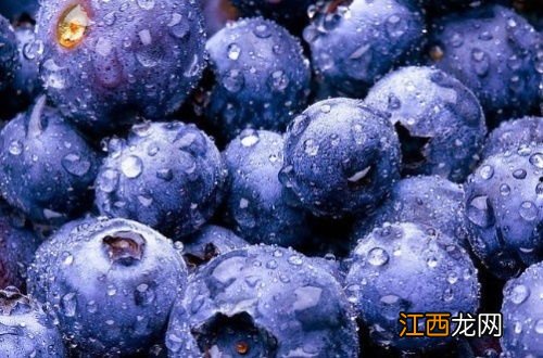 蓝莓没熟怎么办，蓝莓如何保鲜
