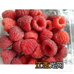 树莓怎么保存,种植几年可以结果