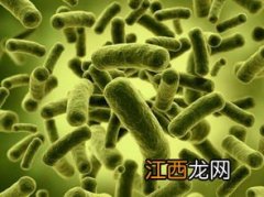 微生物化肥与化肥之间是什么关系，微生物化肥可以长期使用吗