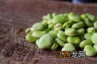 蚕豆是大豆吗，附蚕豆的种植方法