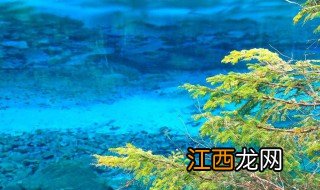 什么季节去九寨沟最好，什么季节去九寨沟最好?