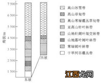 用途广泛的经济作物有什么