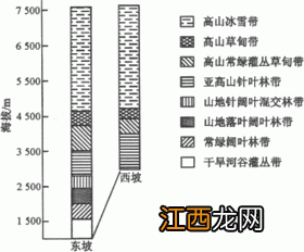 用途广泛的经济作物有什么