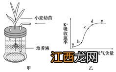 作物的三大矿质元素，作物熟制的影响因素