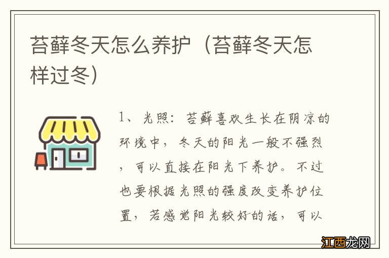 苔藓冬天怎样过冬 苔藓冬天怎么养护