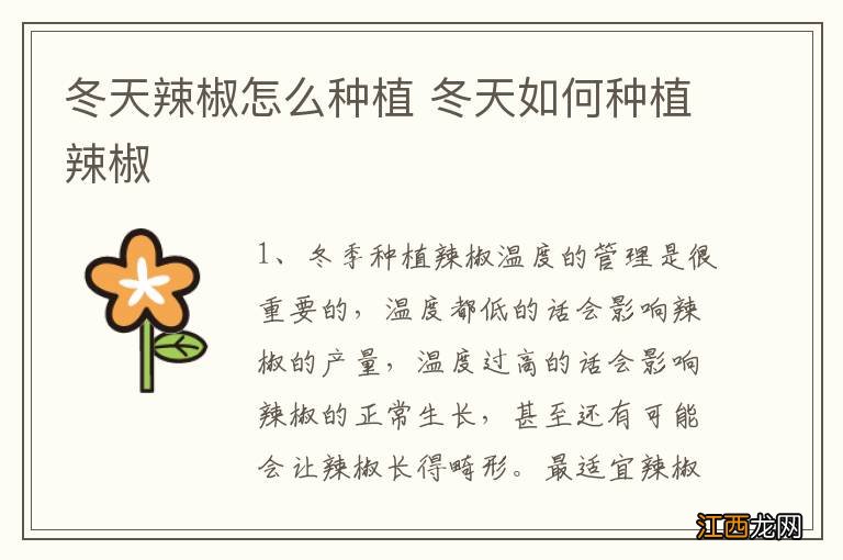 冬天辣椒怎么种植 冬天如何种植辣椒