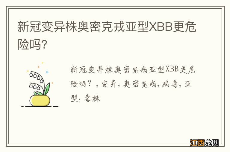 新冠变异株奥密克戎亚型XBB更危险吗？