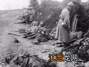 凡尔登战役发生在哪一年 有什么影响