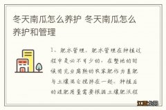 冬天南瓜怎么养护 冬天南瓜怎么养护和管理