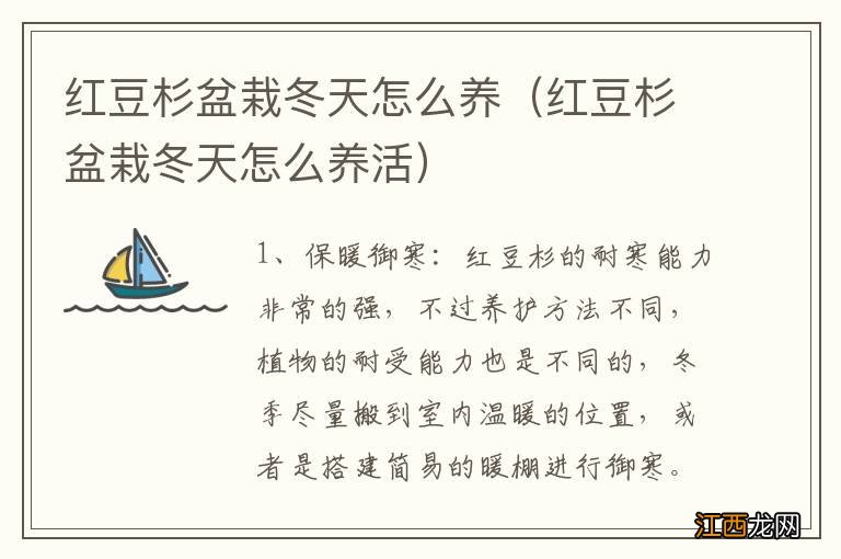 红豆杉盆栽冬天怎么养活 红豆杉盆栽冬天怎么养