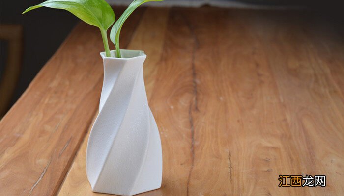 种植植物是一项长期研究的观察活动,要做好什么等工作