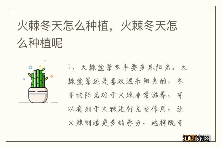 火棘冬天怎么种植，火棘冬天怎么种植呢