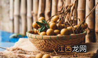 盆栽龙眼冬天怎么养，盆栽龙眼冬天怎么养殖