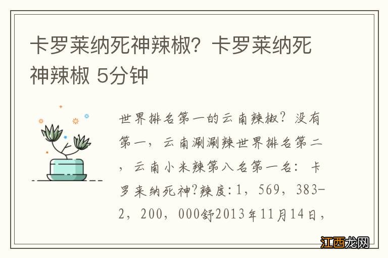 卡罗莱纳死神辣椒？卡罗莱纳死神辣椒 5分钟