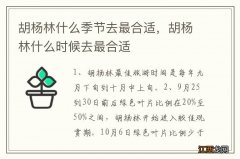 胡杨林什么季节去最合适，胡杨林什么时候去最合适