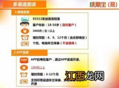 平安保险续期宝是什么？