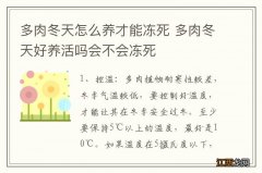 多肉冬天怎么养才能冻死 多肉冬天好养活吗会不会冻死